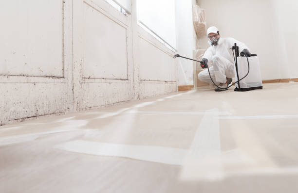 24/7 Emergency Commercial Mold Remediation experts in Jacksonville, IL