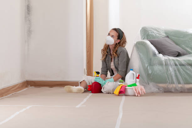 Reliable Commercial Mold Remediation contractor in Jacksonville, IL by Car Mold Remediation