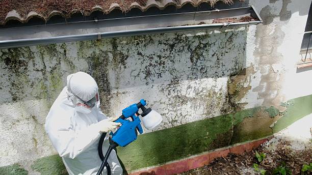 Top rated local Commercial Mold Remediation specialists in Jacksonville, IL